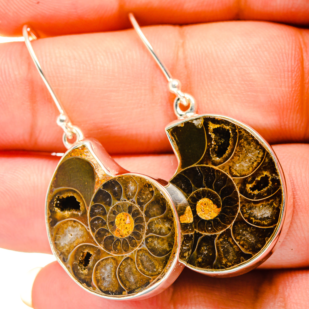 Ammonite Fossil Earrings handcrafted by Ana Silver Co - EARR419512