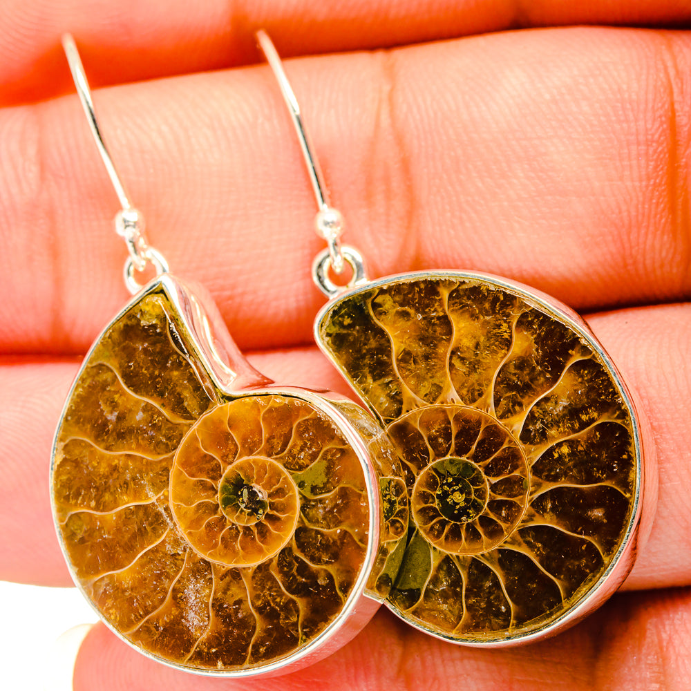 Ammonite Fossil Earrings handcrafted by Ana Silver Co - EARR419535