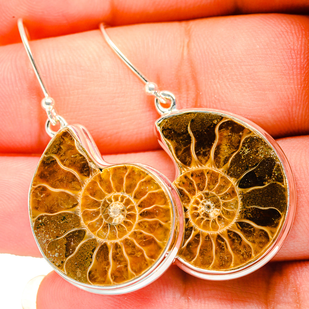Ammonite fossil drop earrings, amber-gold circular shells in 925 silver bezels.