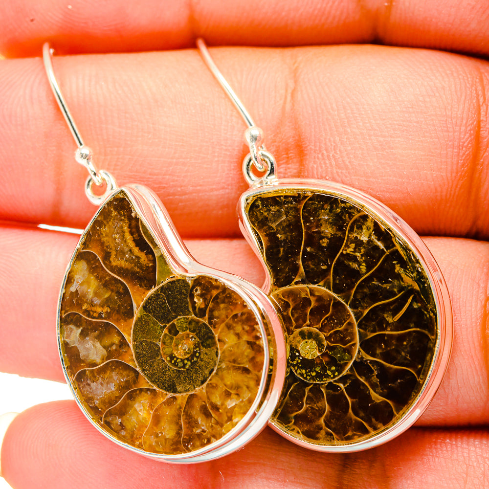 Ammonite Fossil Earrings handcrafted by Ana Silver Co - EARR419609