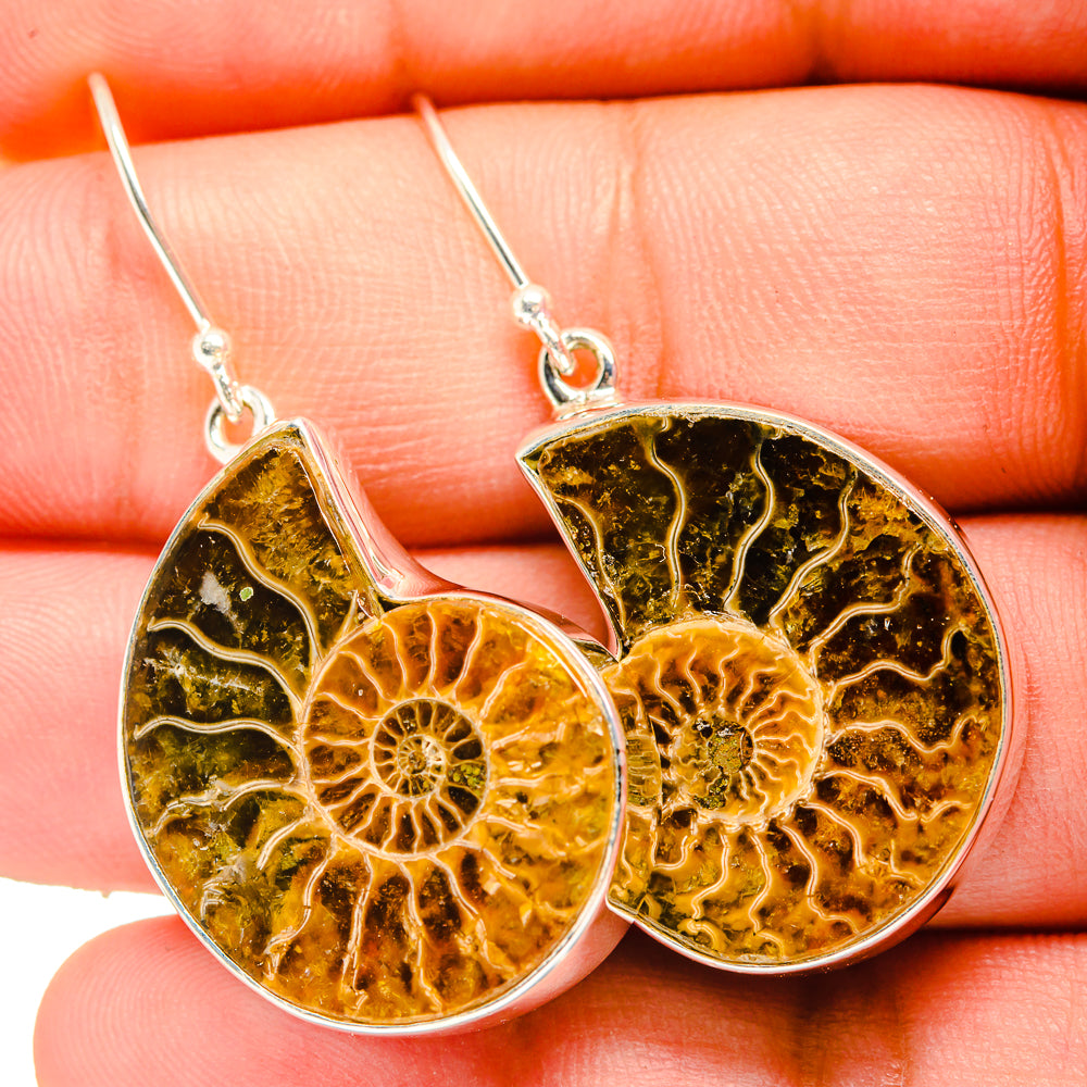 Ammonite Fossil Earrings handcrafted by Ana Silver Co - EARR419619