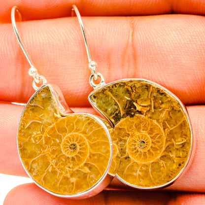 Ammonite Fossil Earrings handcrafted by Ana Silver Co - EARR419677