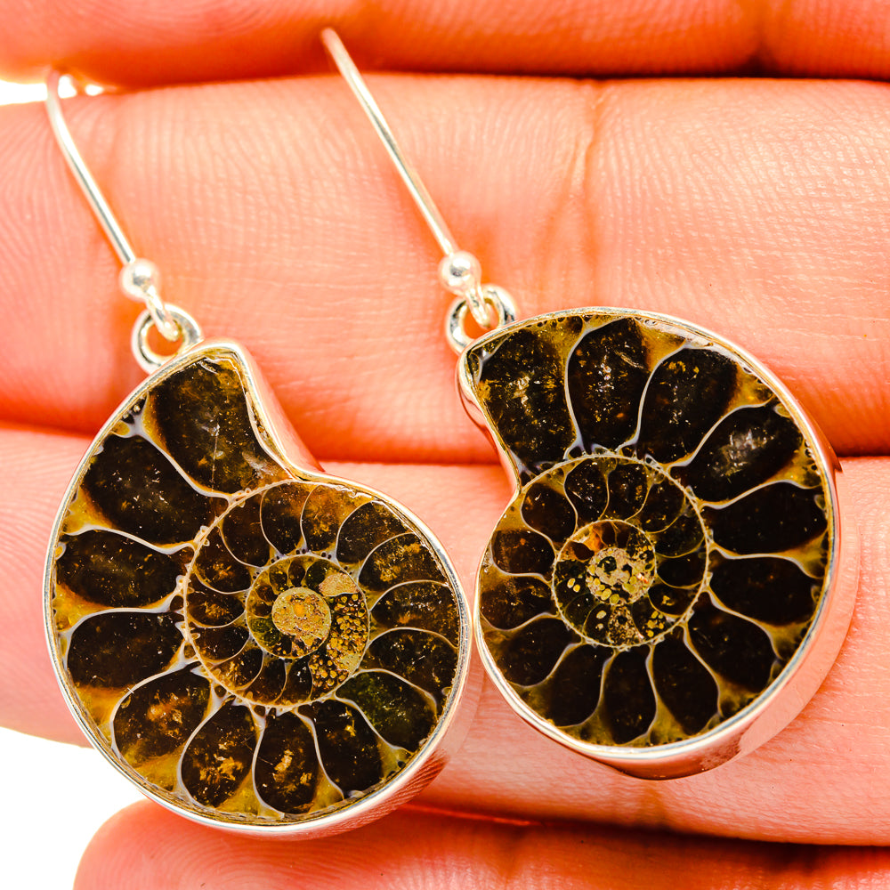 Ammonite fossil earrings in round gold-brown stone bezel with silver hooks