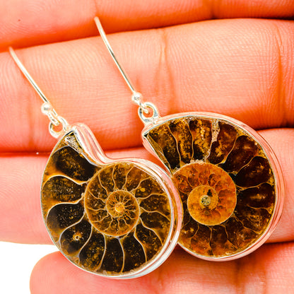 Ammonite Fossil Earrings handcrafted by Ana Silver Co - EARR419696