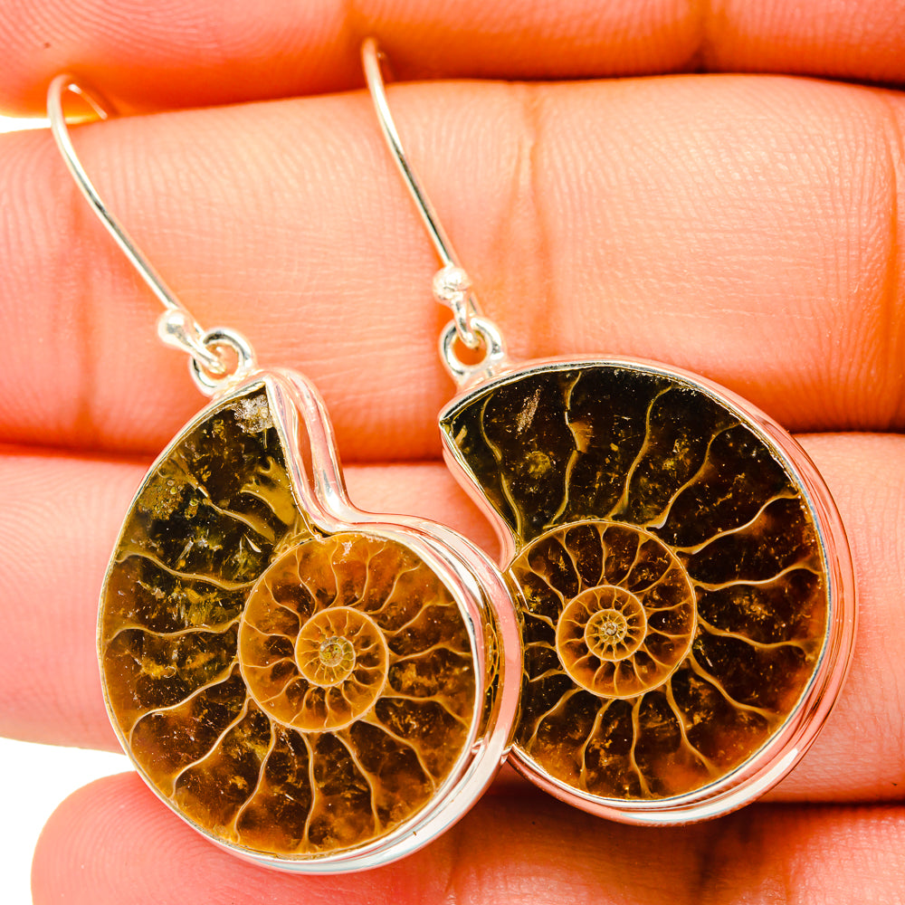 Ammonite Fossil Earrings handcrafted by Ana Silver Co - EARR419700