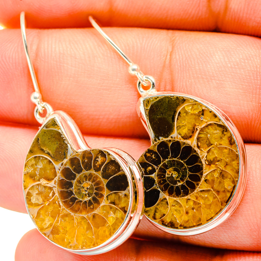 Ammonite fossil drop earrings close-up, amber-orange and dark spiral pattern, silver