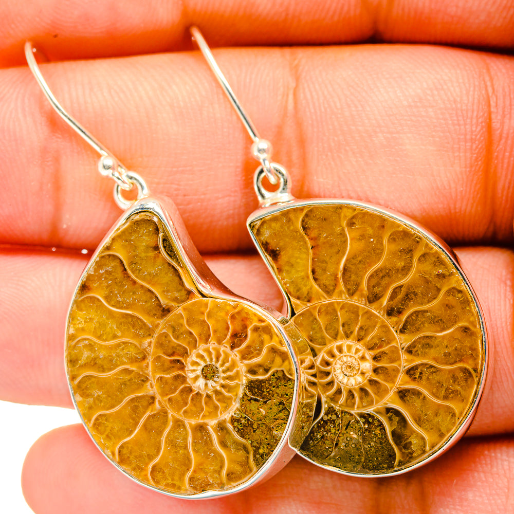 Ammonite fossil earrings with amber-gold stone discs and silver drop hooks