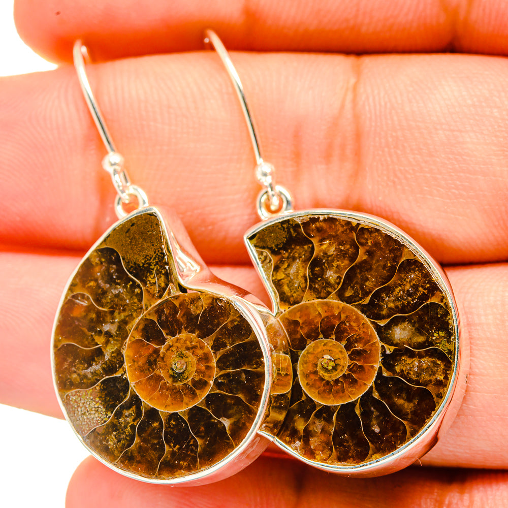Ammonite Fossil Earrings handcrafted by Ana Silver Co - EARR419738