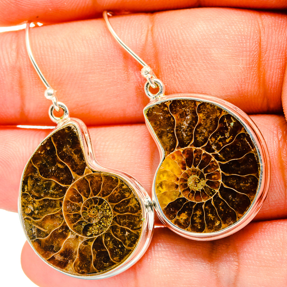 Ammonite Fossil Earrings handcrafted by Ana Silver Co - EARR419789