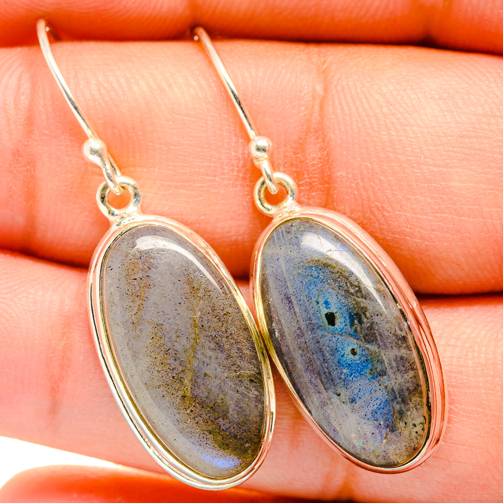 Labradorite Earrings handcrafted by Ana Silver Co - EARR420023