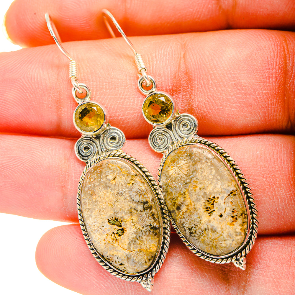 Laguna Lace Agate Earrings handcrafted by Ana Silver Co - EARR420228