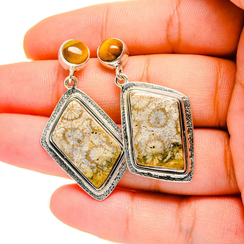 Square fossil coral drop earrings with tiger eye cabochons and sterling silver frames