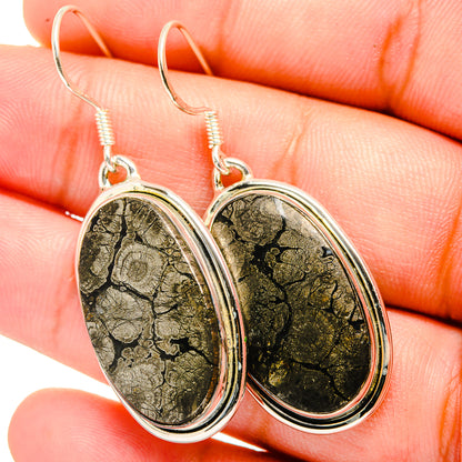 Pyrite Agate Earrings handcrafted by Ana Silver Co - EARR420757
