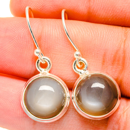 Round moonstone drop earrings in sterling silver with light gray-white stone and lever backs