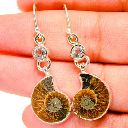 Ammonite Fossil Earrings handcrafted by Ana Silver Co - EARR422246