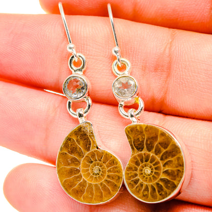 Ammonite Fossil Earrings handcrafted by Ana Silver Co - EARR422249
