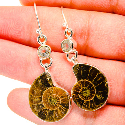 Ammonite Fossil Earrings handcrafted by Ana Silver Co - EARR422278