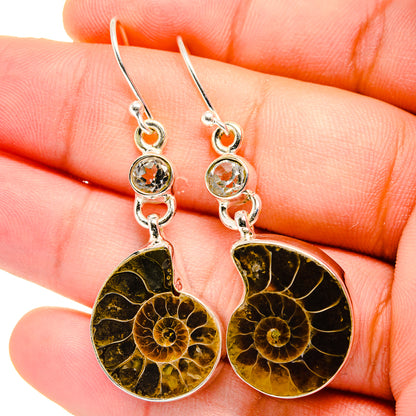 Ammonite Fossil Earrings handcrafted by Ana Silver Co - EARR422338