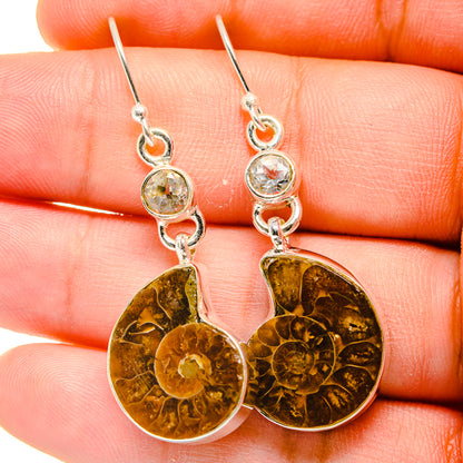 Ammonite Fossil Earrings handcrafted by Ana Silver Co - EARR422359