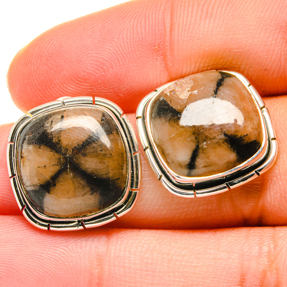 Chiastolite Earrings handcrafted by Ana Silver Co - EARR422614