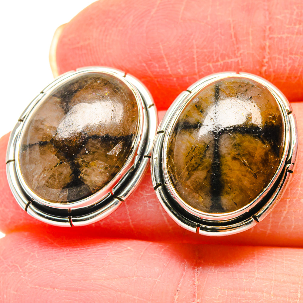 Close-up of oval chiastolite earrings in 925 sterling silver with marbled gold-brown stone
