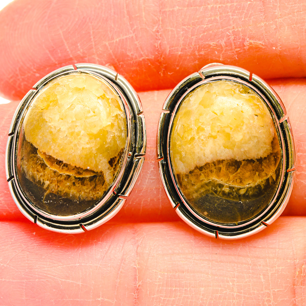 Septarian Nodule Earrings handcrafted by Ana Silver Co - EARR423022