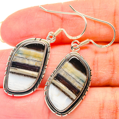 Owyhee opal earrings on fingers, oval bezel-set striped stone with silver fishhook backs