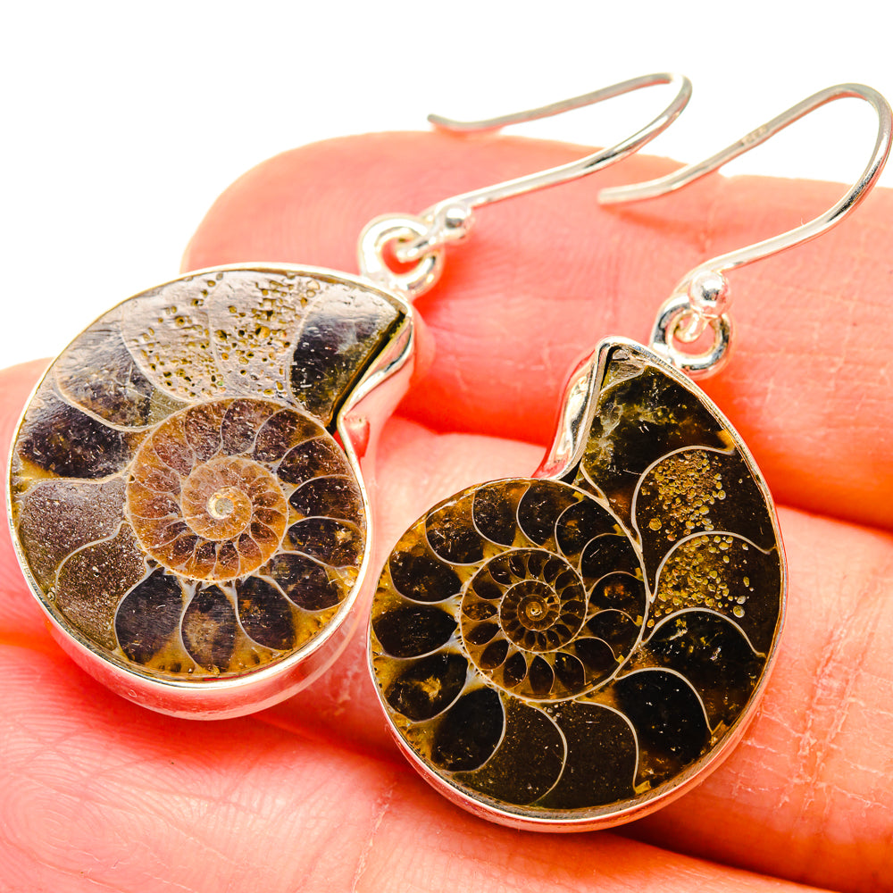 Ammonite Fossil Earrings handcrafted by Ana Silver Co - EARR423785