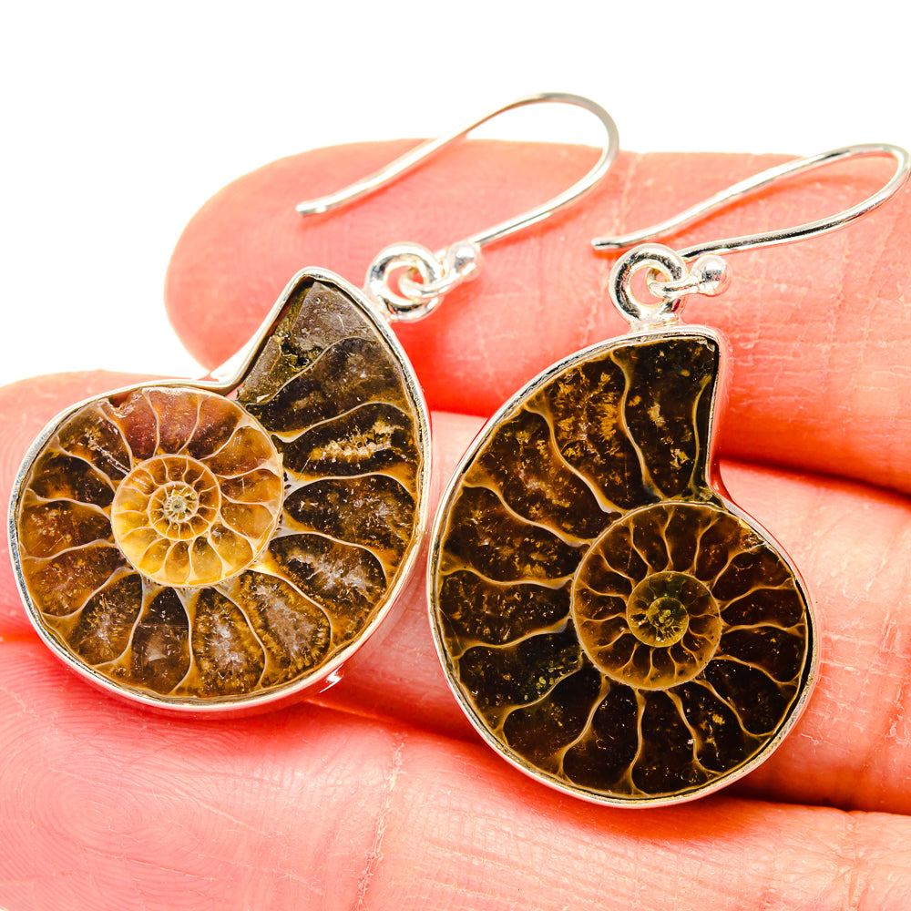 Ammonite Fossil Earrings handcrafted by Ana Silver Co - EARR423801