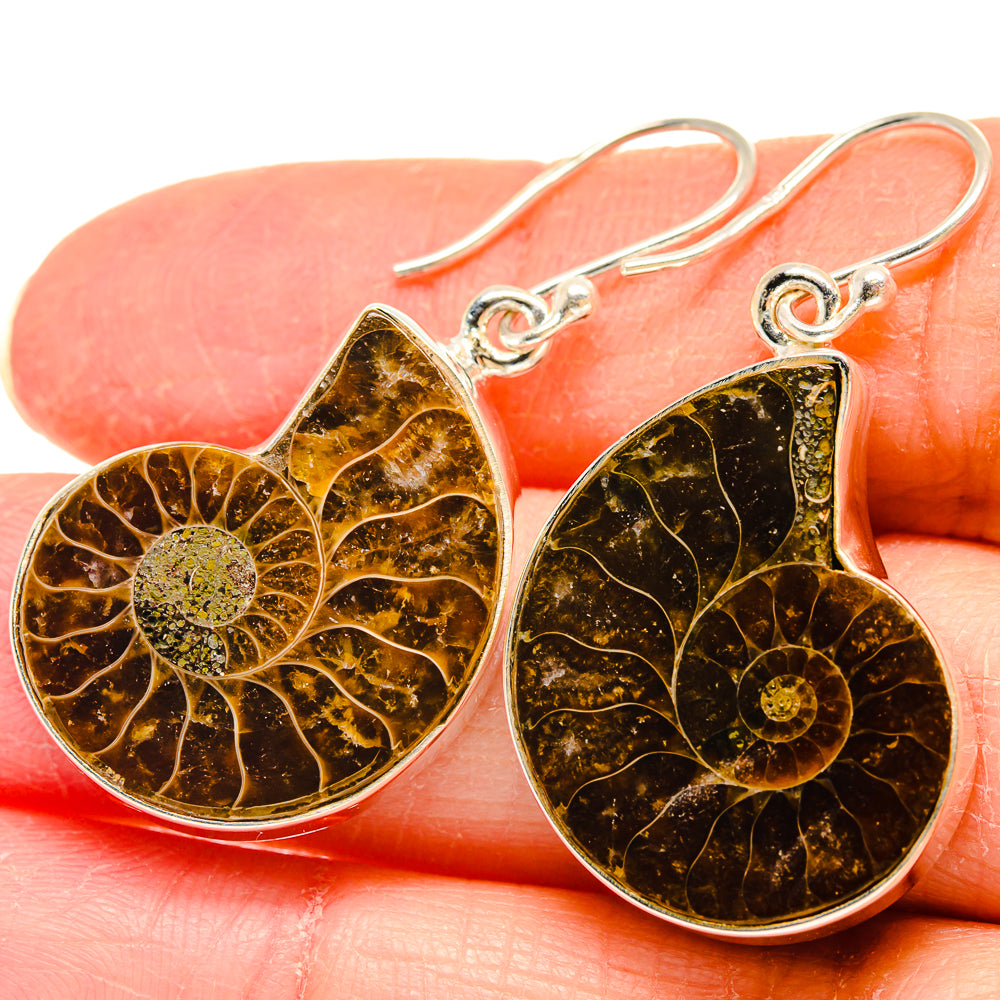 Ammonite Fossil Earrings handcrafted by Ana Silver Co - EARR423902