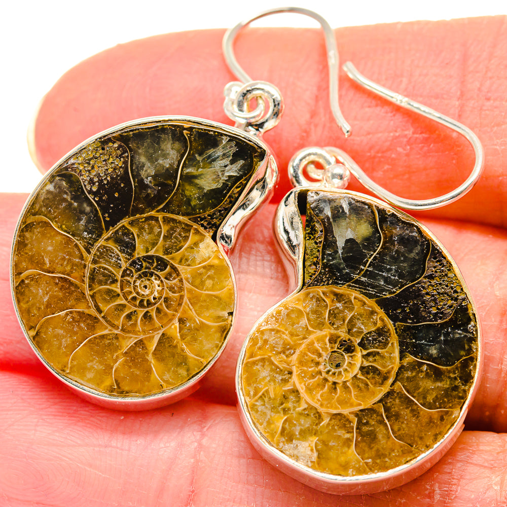 Close-up ammonite fossil earrings, 925 sterling silver, amber and black teardrop dangles