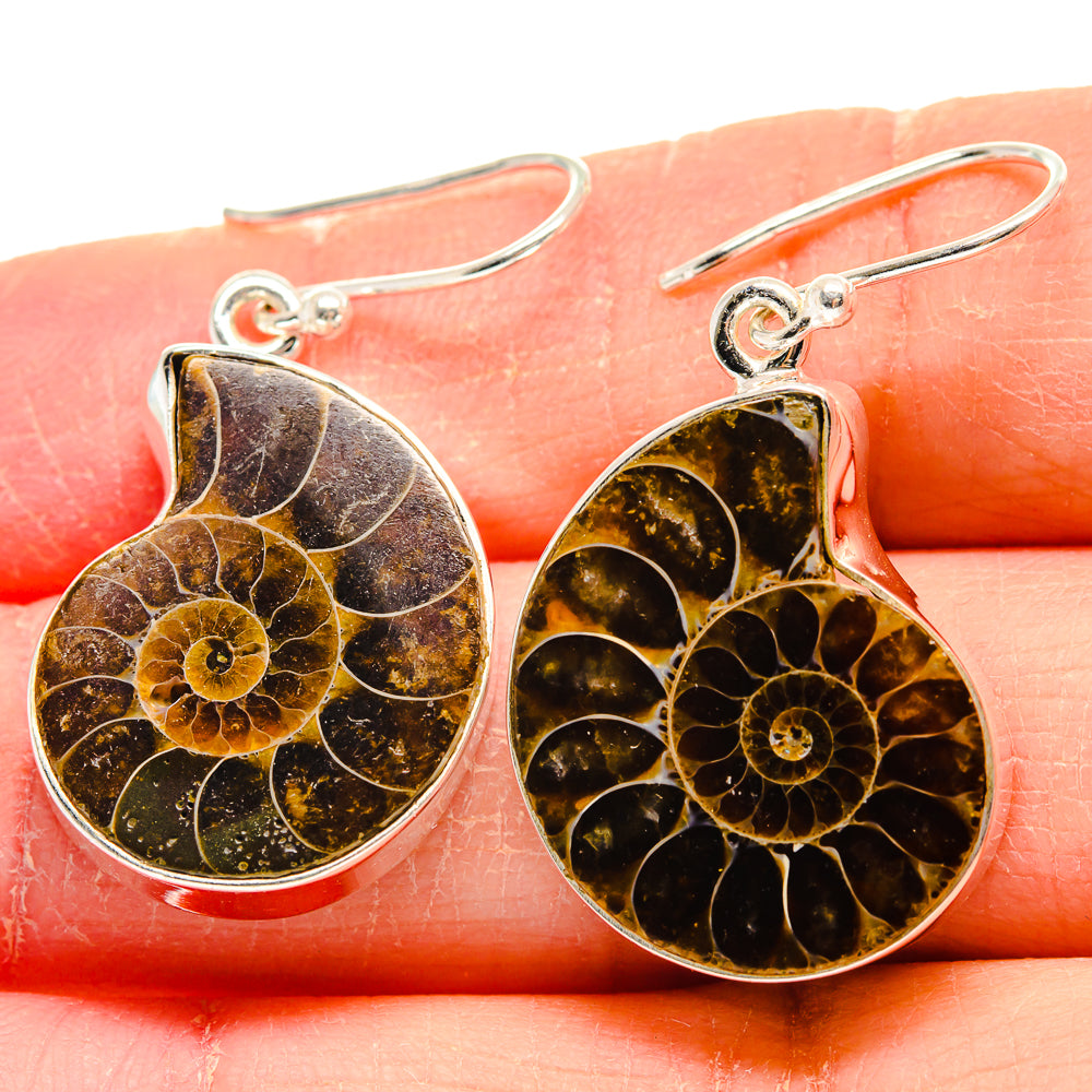 Ammonite Fossil Earrings handcrafted by Ana Silver Co - EARR423984