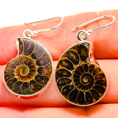Ammonite Fossil Earrings handcrafted by Ana Silver Co - EARR423984