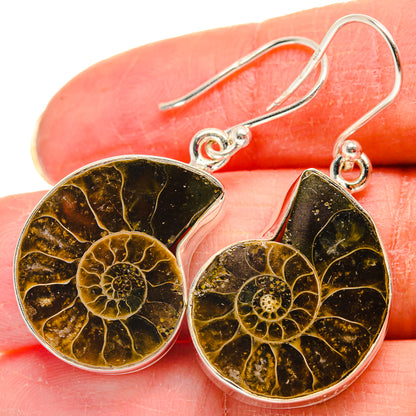 Ammonite Fossil Earrings handcrafted by Ana Silver Co - EARR424045