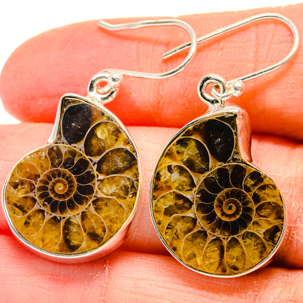 Ammonite Fossil Earrings handcrafted by Ana Silver Co - EARR424154
