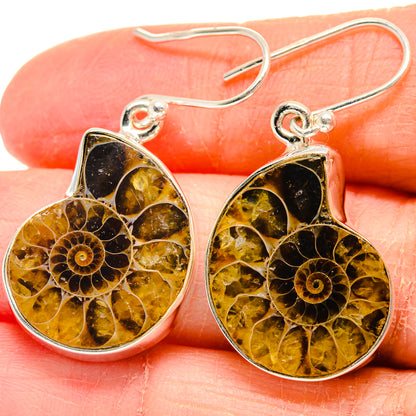 Ammonite Fossil Earrings handcrafted by Ana Silver Co - EARR424154