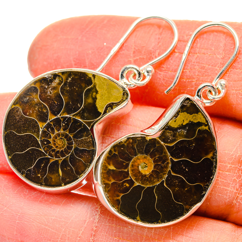 Ammonite Fossil Earrings handcrafted by Ana Silver Co - EARR424192