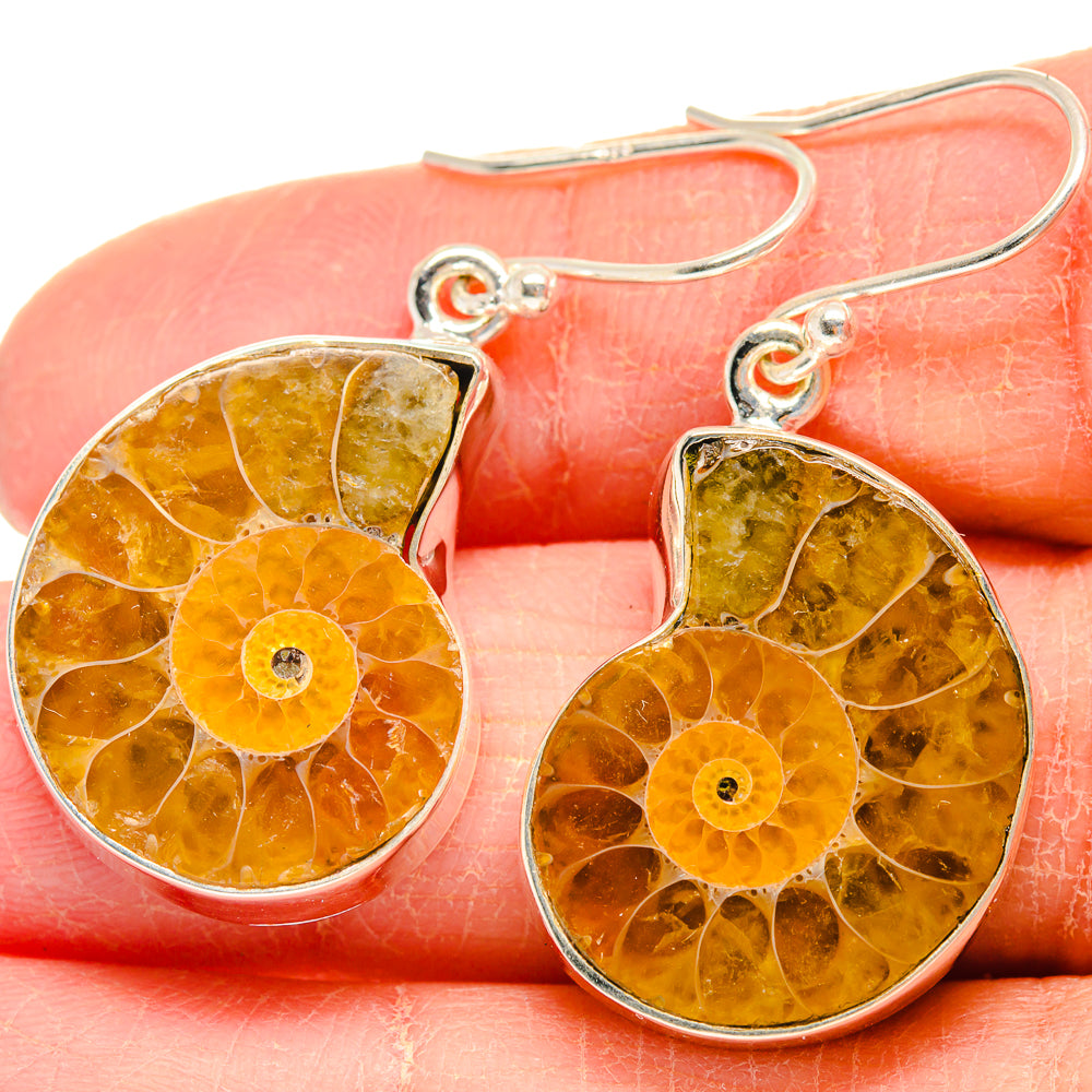 Ammonite Fossil Earrings handcrafted by Ana Silver Co - EARR424207