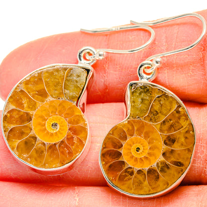Ammonite Fossil Earrings handcrafted by Ana Silver Co - EARR424207