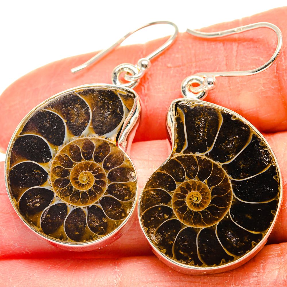 Ammonite Fossil Earrings handcrafted by Ana Silver Co - EARR424226