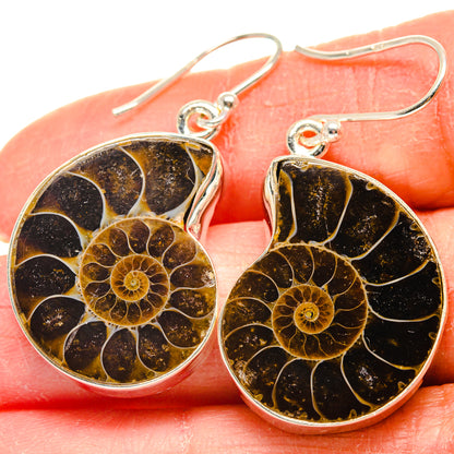 Ammonite Fossil Earrings handcrafted by Ana Silver Co - EARR424226