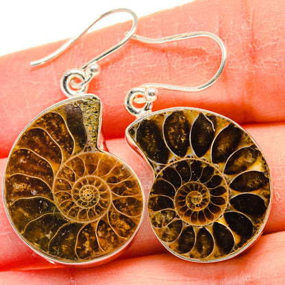 Ammonite Fossil Earrings handcrafted by Ana Silver Co - EARR424239