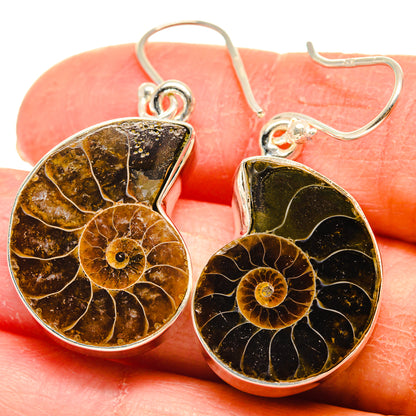 Ammonite Fossil Earrings handcrafted by Ana Silver Co - EARR424255