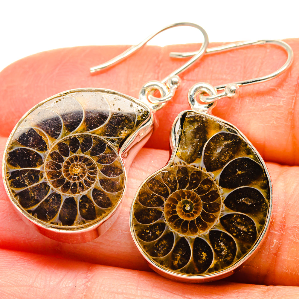Ammonite Fossil Earrings handcrafted by Ana Silver Co - EARR424290