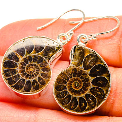 Ammonite Fossil Earrings handcrafted by Ana Silver Co - EARR424290