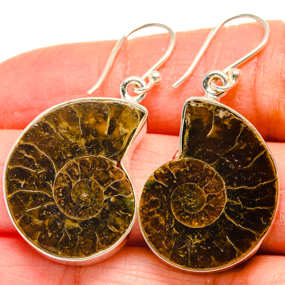 Ammonite Fossil Earrings handcrafted by Ana Silver Co - EARR424328