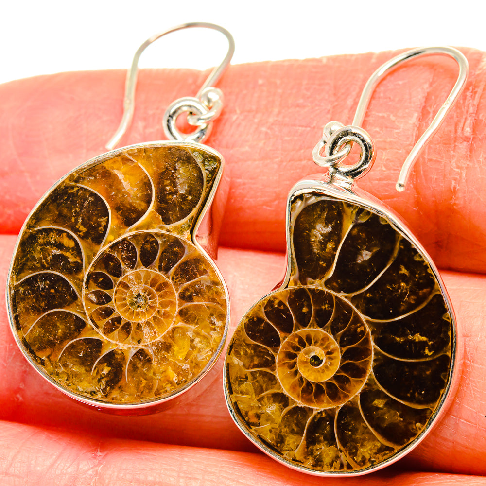 Ammonite Fossil Earrings handcrafted by Ana Silver Co - EARR424351