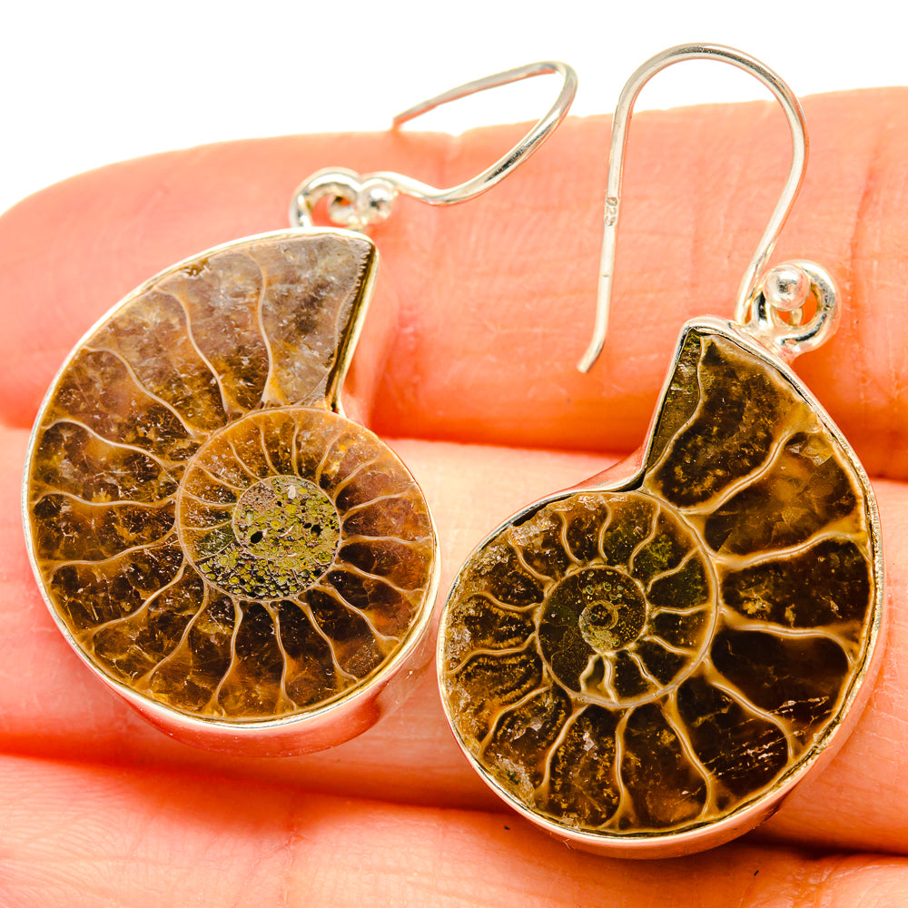 Ammonite Fossil Earrings handcrafted by Ana Silver Co - EARR424365