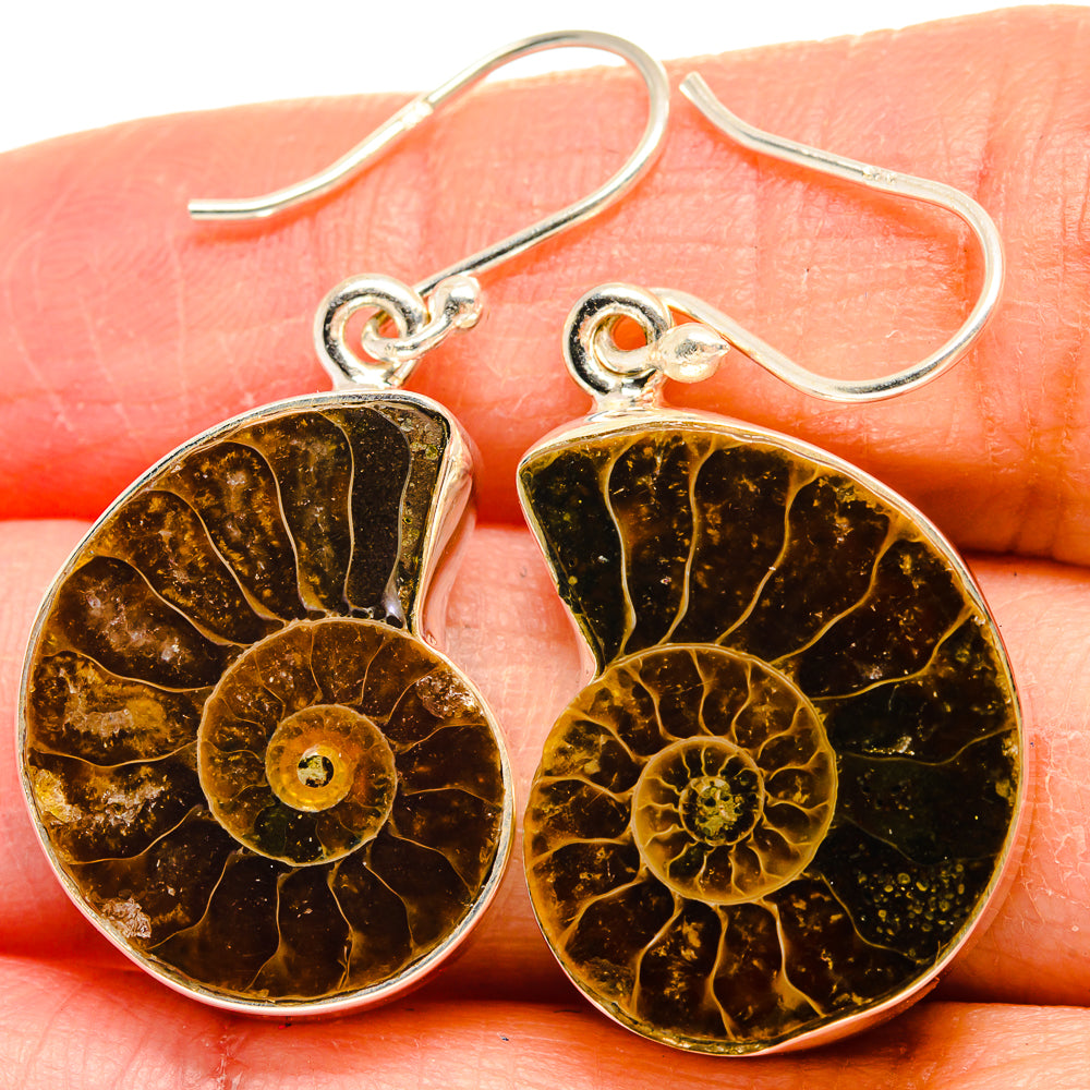 Ammonite Fossil Earrings handcrafted by Ana Silver Co - EARR424381