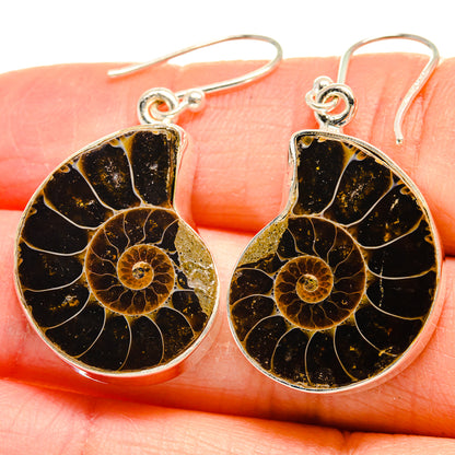Ammonite Fossil Earrings handcrafted by Ana Silver Co - EARR424422